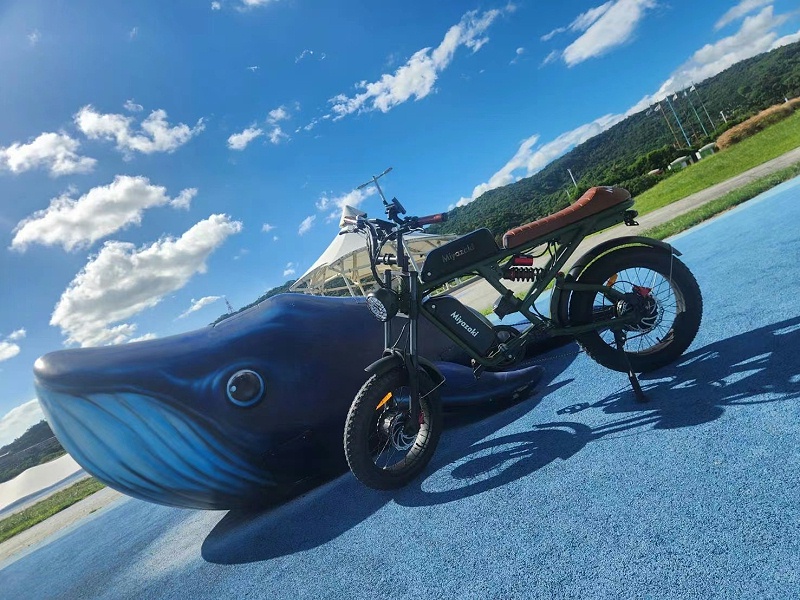 电动自行车